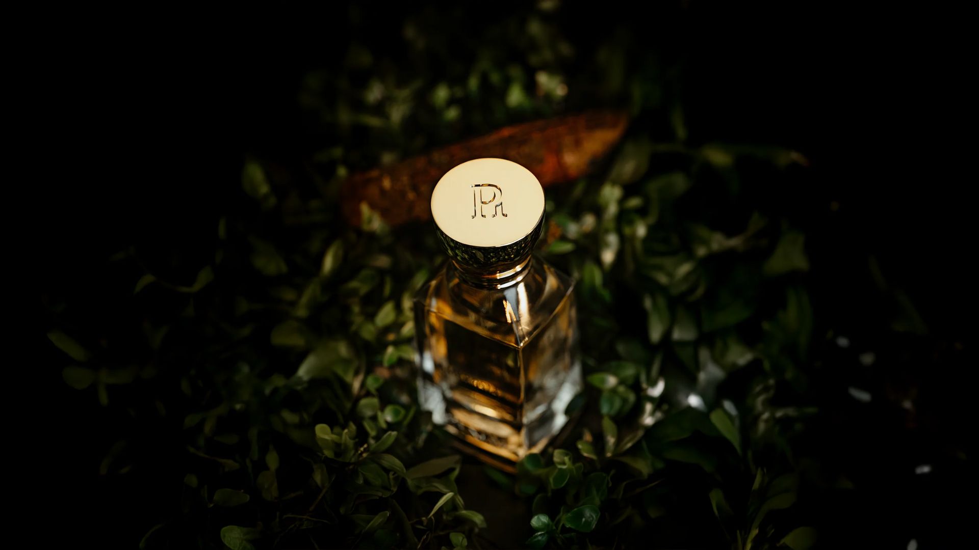 phenom parfum