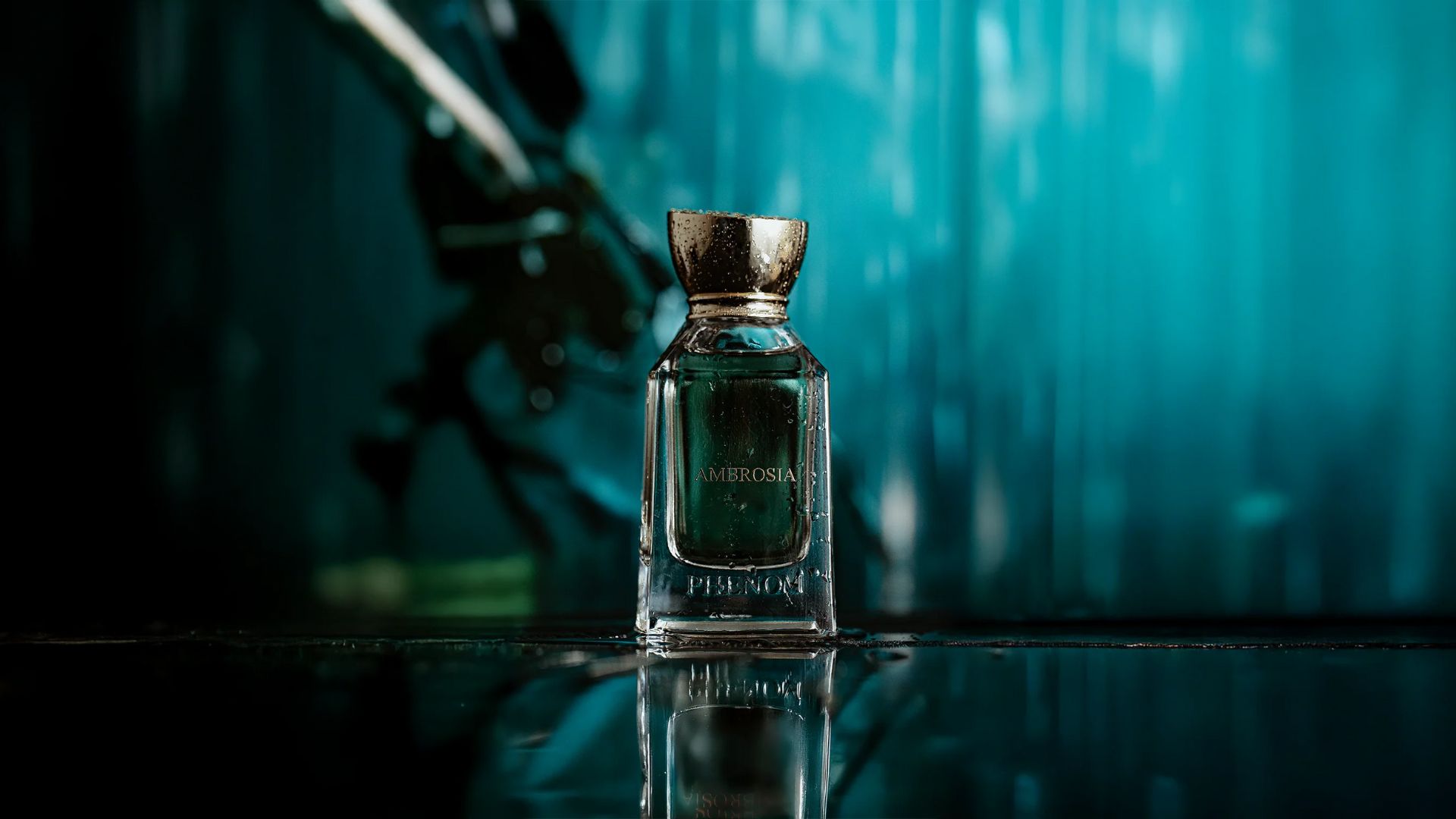 phenom parfum